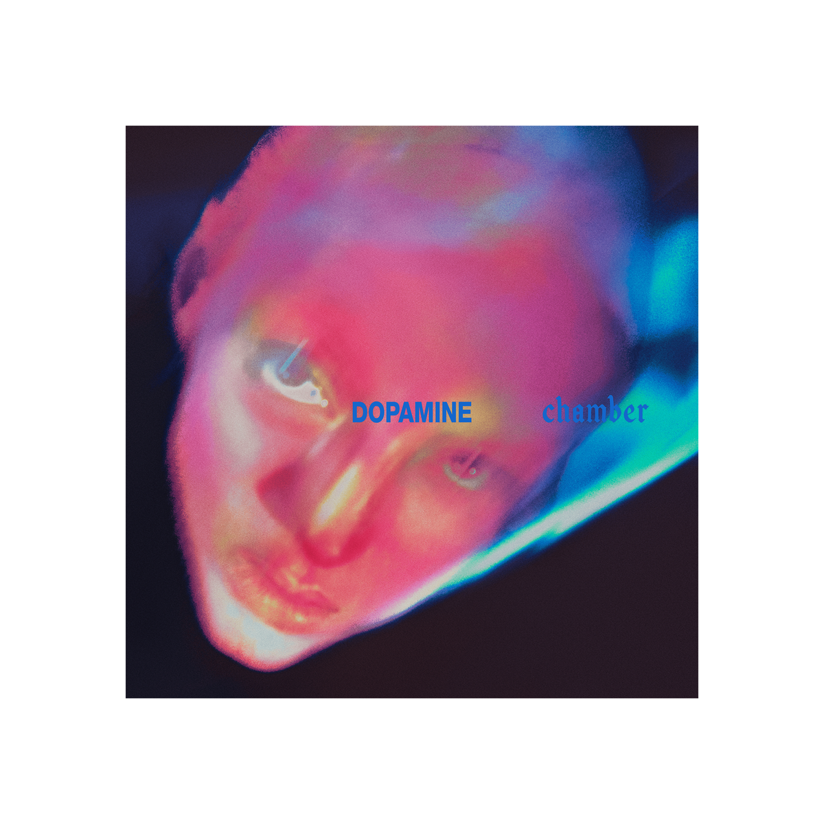 DOPAMINE CHAMBER | DIGITAL DOWNLOAD
